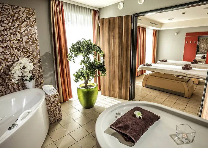 Отель Seehotel Fleesensee 4*